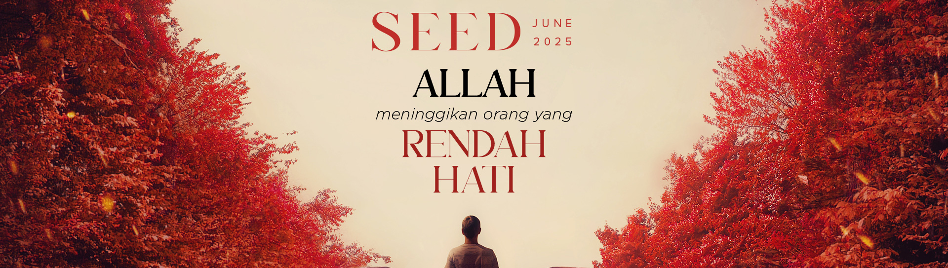 Monthly SEED