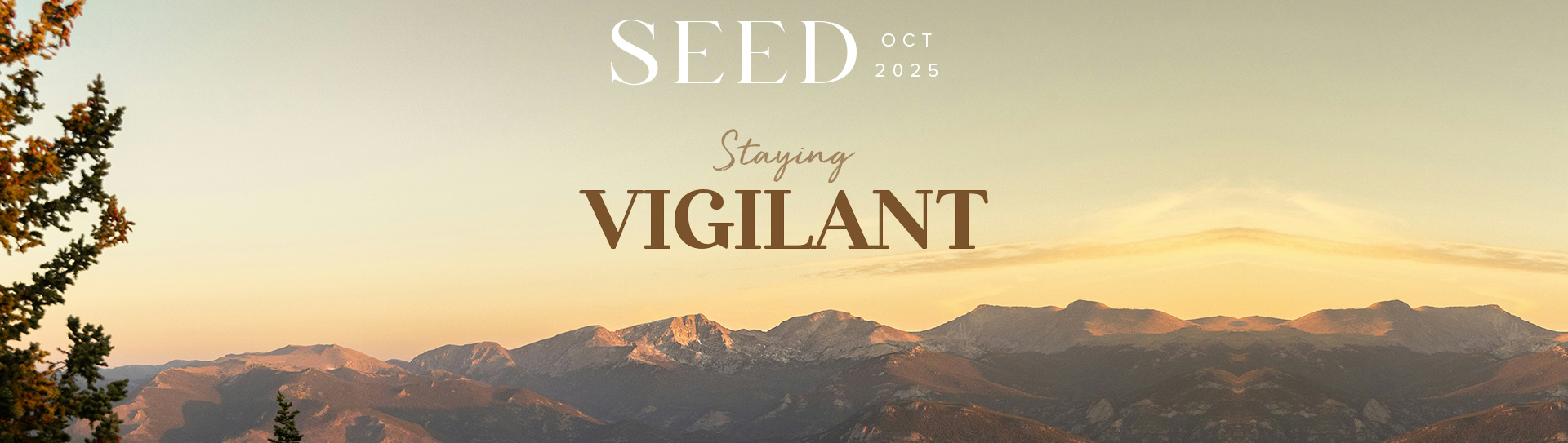 Monthly SEED